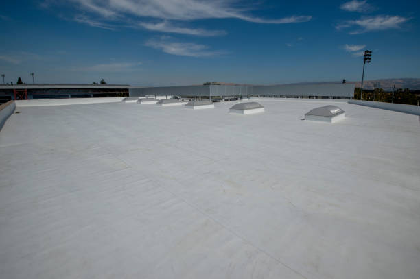 Best Storm Damage Roof Repair  in Waverly, OH