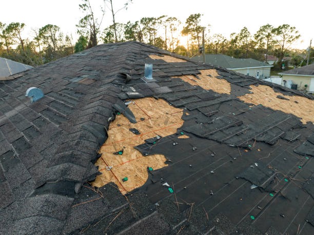 Best Hot Roofs  in Waverly, OH