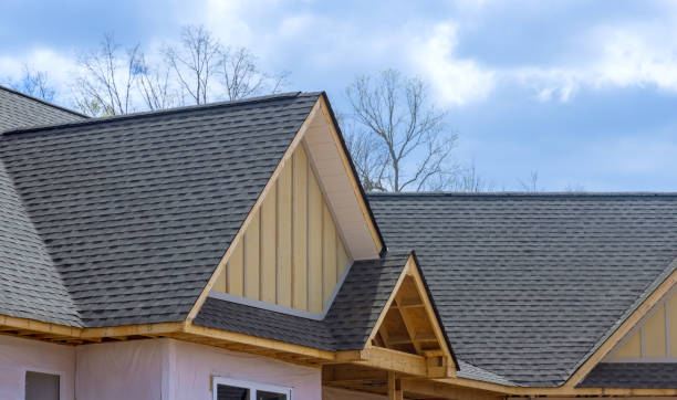 Best Skylight Installation and Repair  in Waverly, OH